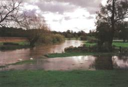 Grantchester Meadows carrying out its traditional function of holding flood 
water and protecting the city. 