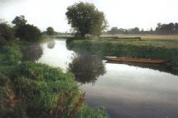 The upper Cam between Newnham and Grantchester. 
