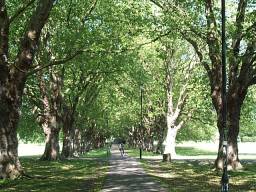 Jesus Green