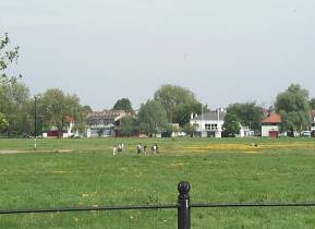 Midsummer Common