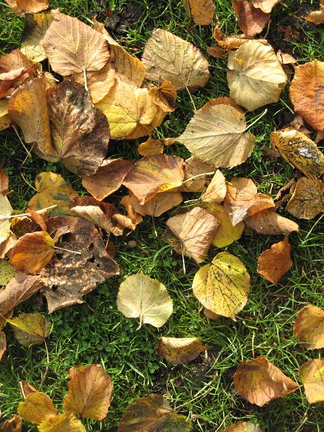 Autumn on Christs Pieces