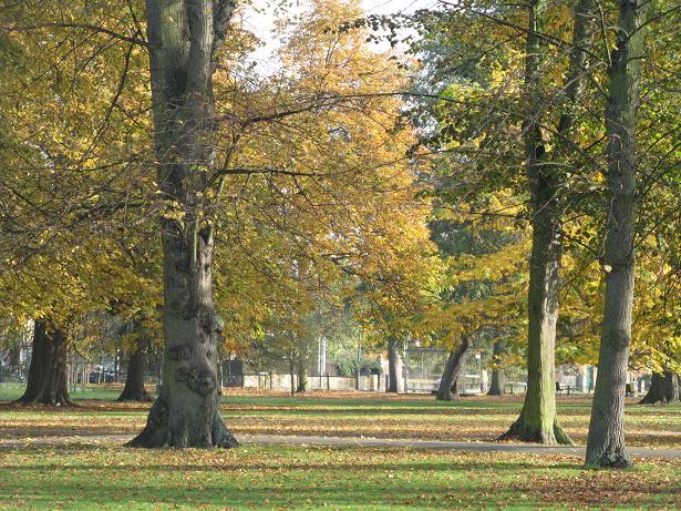 Autumn on Christs Pieces