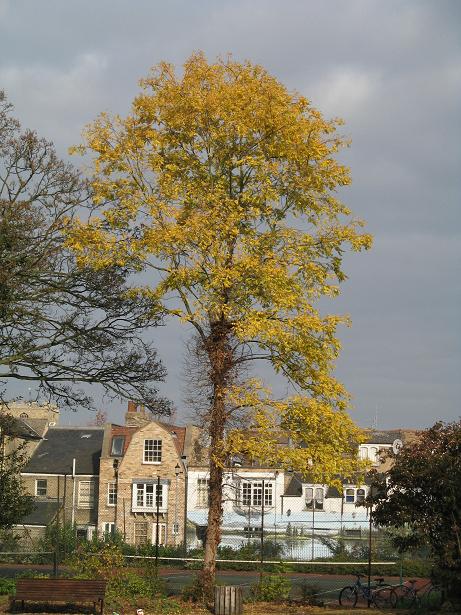 Autumn on Christs Pieces