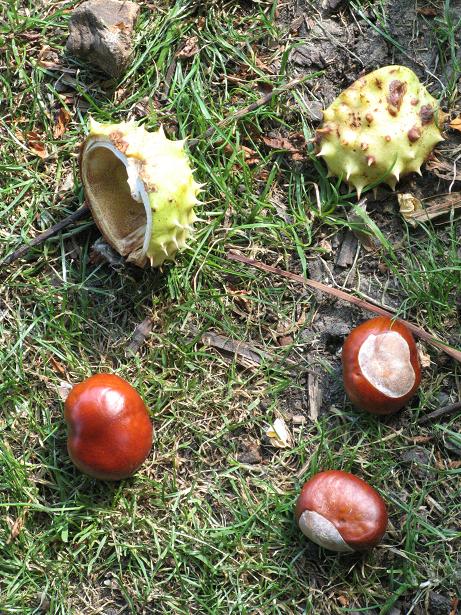 Autumn on Christs Pieces
