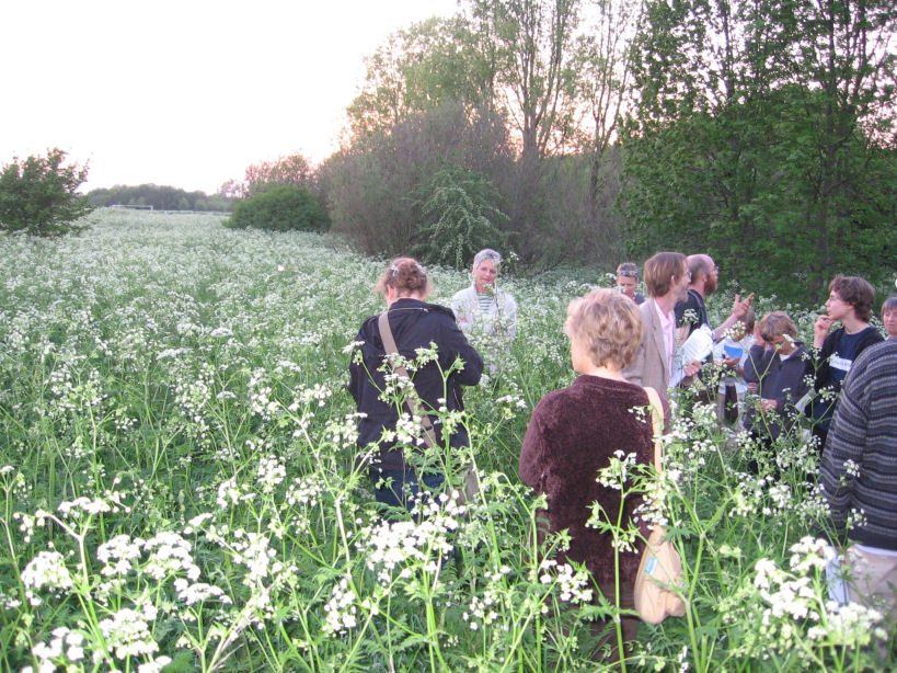 Coldhams Common History & Wildlife Tour with Allan & Ian Webb ( Wildlife
Trust)