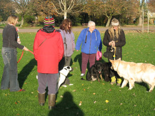 Romsey Recreation Ground