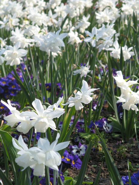 Spring on Christs Pieces