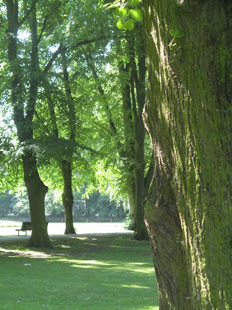Summer on Christs Pieces