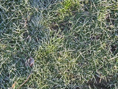 Winter on Christs Pieces